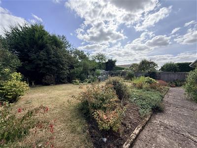 Picture 22